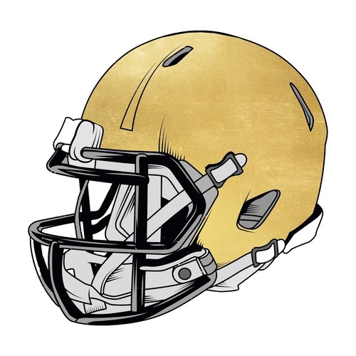 autographed ryan grant football helmet RYAN GRANT No 4 signed NOTRE DAME FIGHTIN IRISH Helmet COA GREEN BAY  PACKERS