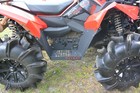 Bild 11 von 11