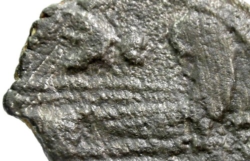 ROMAN Republic (Anonime) ASSE-FLY / Volatile <RRR.> - Picture 8 of 9