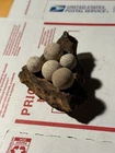 New ListingDug Civil War 💥 🇺🇸 💣 Cannonball Feag W Case Shot