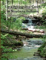 Barb Wood | Up A Springtime Creek In Southern Indiana | Taschenbuch | Englisch