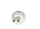 BOSCH Fuel Accumulator Fits PORSCHE 928 Coupe 4.5-5.0L 1978-1986
