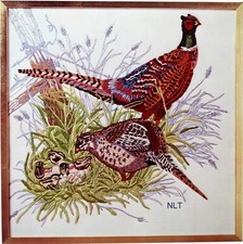 Vintage Crewel Embroidery Kit Pheasant Birds Family Hallmark Cards