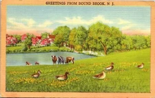 Vintage Postcard Generic Greetings Bound Brook NJ New Jersey Ducks Lake Cows