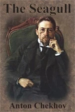 The Seagull (Paperback or Softback)