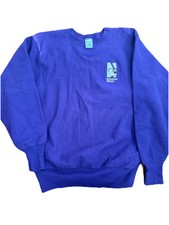 Vintage Champion Northwestern University Reverse Weave Size Large Made In USA