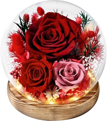 Regalos de rosas con flores preservadas para mujeres: rosas para novias