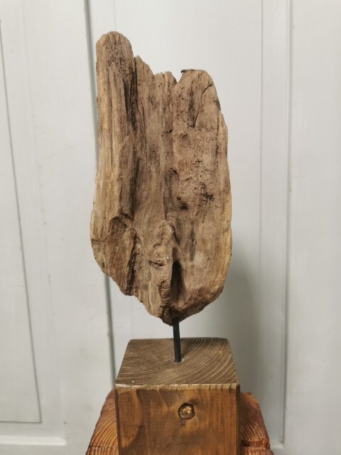 Bild 1 von 5