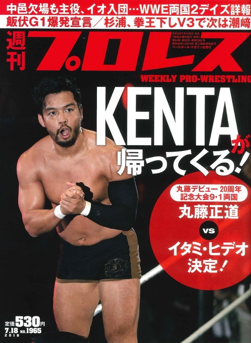 雑誌　VICE volume18 WEEKLY PRO-WRESTLING July 18 2018 Japanese Magazine KENTA
