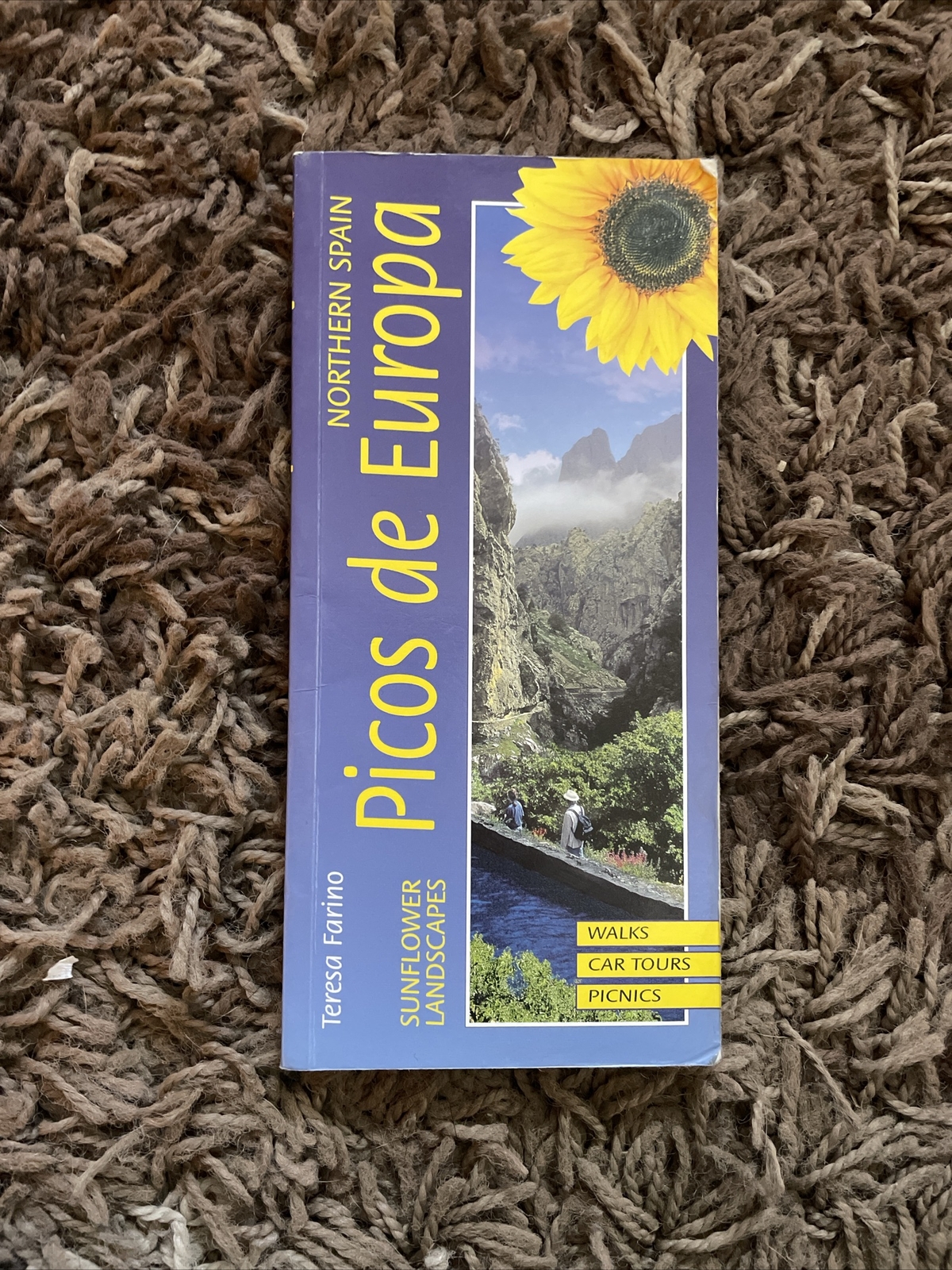 Landscapes of Northern Spain - Picos De Europa by Teresa Farino (Paperback,...