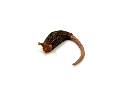 Star Wars Sand Skitter loose (Sideshow Salacious B. Crumb Creature Pack) Exclusi