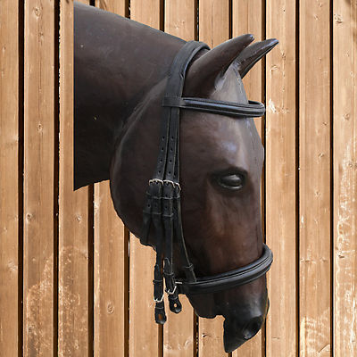 Count curb Bavaria, Count curb bridle, bridle, curb 