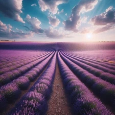 Digital image picture photo wallpaper background 197