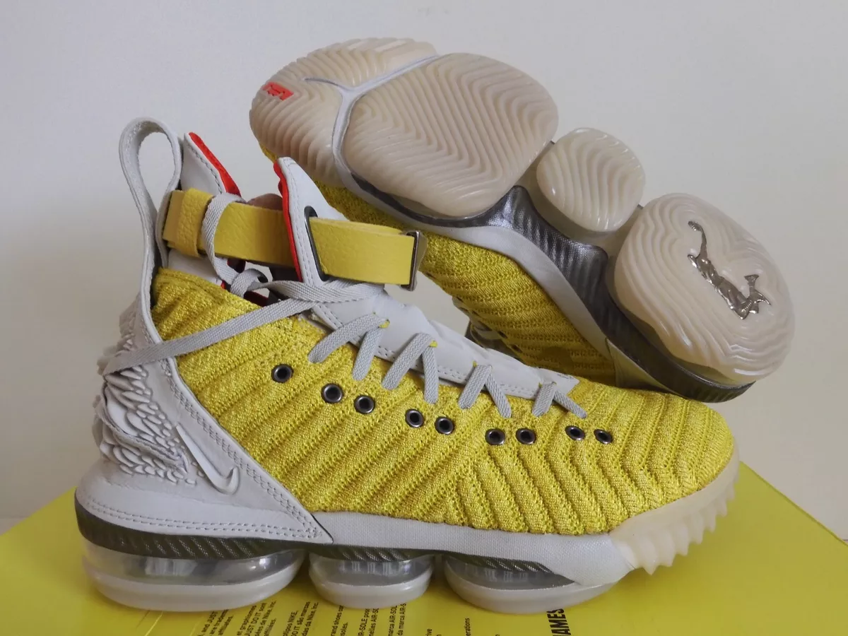 Lebron clearance harlem shoes
