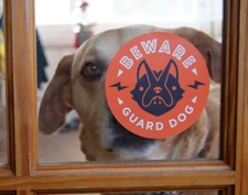 Beware of Guard Dog Window Decal Sign, 4" x 4"
