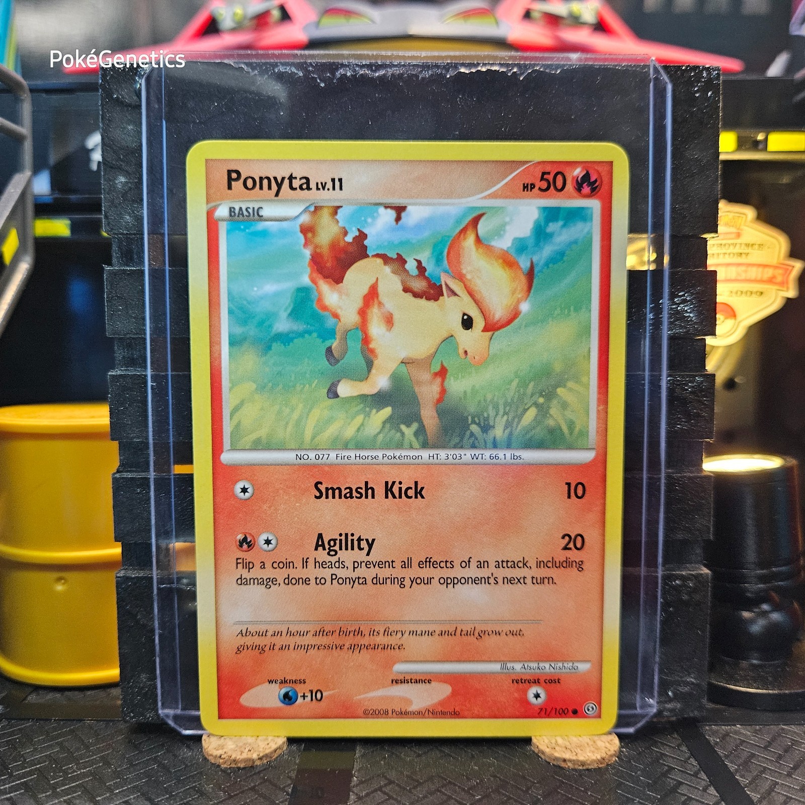 Ponyta Stormfront Pokémon TCG 71/100 Diamond & Pearl Common