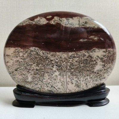 Bonsai Suiseki-Natural Guohua Stone-So Beautiful Rock,Rare Viewing Picture 627#