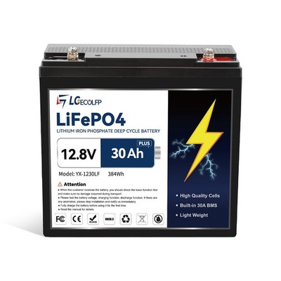 12V 30Ah LiFePO4 Battery Built-in 30A BMS for RV Boat Scooter Trolling Motor