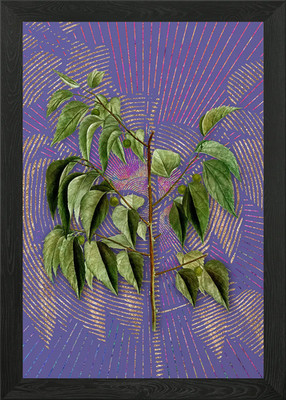 Gemeine Hackbeerenflora gerahmtes Wandbild Poster Leinwanddruck Bild