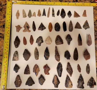Arrowhead Collection-78 Total-Field Grade A & B And Big Points-Great Collection