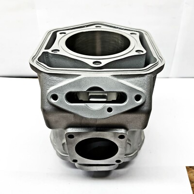 Ported Ski-Doo MXZ X 600RS XRS XP XS Cylinder 12-15 420623482