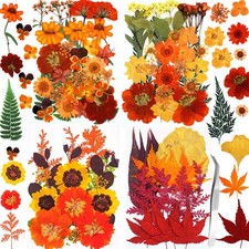 Fall Dried Pressed Flowers for Crafts, 103 PCS Real Dried Pressed Flowers Lea...