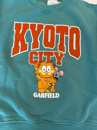 ZARA GARFIELD SWEATSHIRT KIDS 6-7 JAPAN SUSHI GRAPHIC DOUBLE SIDED TEAL GREEN - Picture 2 of 15