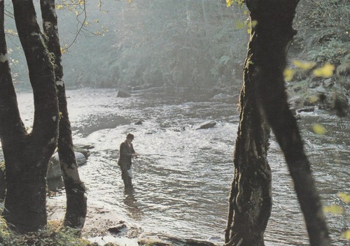 RIVER ROE, Northern Ireland - Vintage POSTCARD - 第 1/2 張圖片