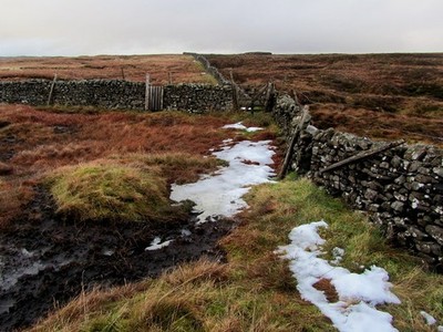 Photo A2 On Moss Top Halton Gill Boundary walls on the summit ridge that c2012