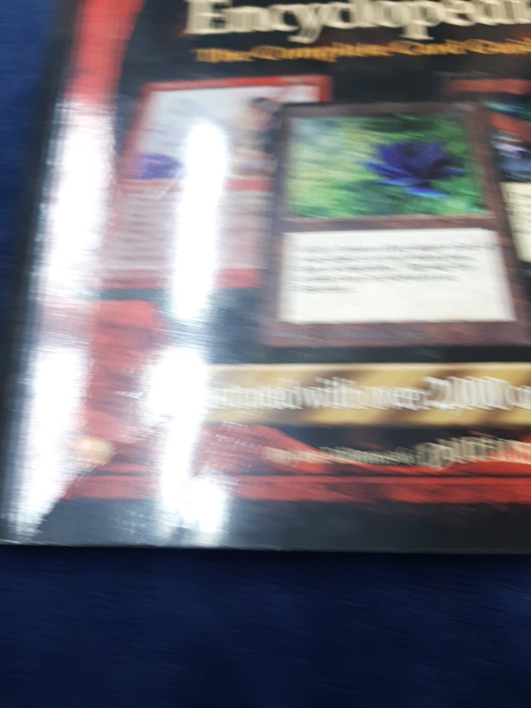 Picture 5 of 13