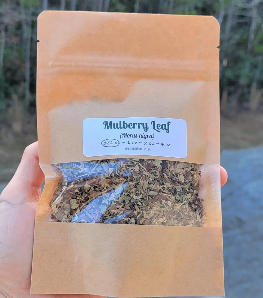 Mulberry Leaf Dried Herb C/S ~ Morus nigra ~ Organic Bulk Herbs for Tea 0.5-4 oz - Image 3 of 4