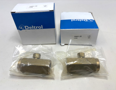Lot of (2) Deltrol 10001-25 C20B Check Valves 1/4''
