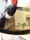 Bradford Exchange Nosy Neighbors Full House 1996 Limited Edition Porcelain Plate — photo 4