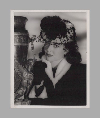 c1940 Dorothy Malone Classic Hollywood Star Photo