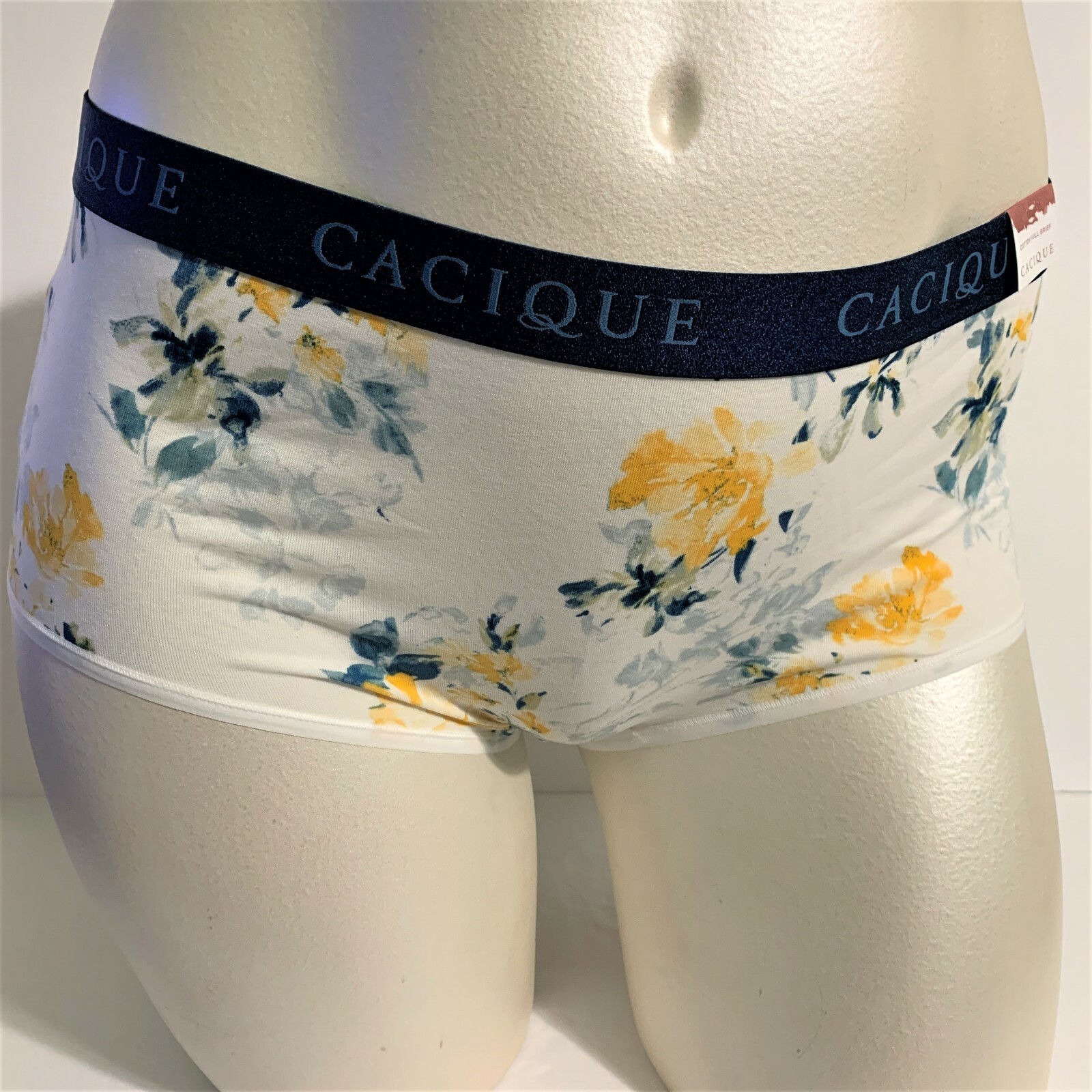 lane bryant underwear for women