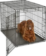 MidWest Homes for Pets 1542DDU Double Door iCrate Metal Dog Crate, 42" LOCAL 