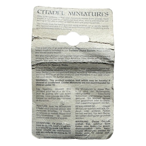 Games Workshop Citadel Miniatures Pre Slotta Orc Daga Avanzante C15 Blindada - Imagen 5 de 5