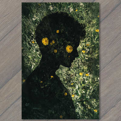 STICKER Woman Silhouette Grass Flowers Shadow Nature Wildflower Meadow Double