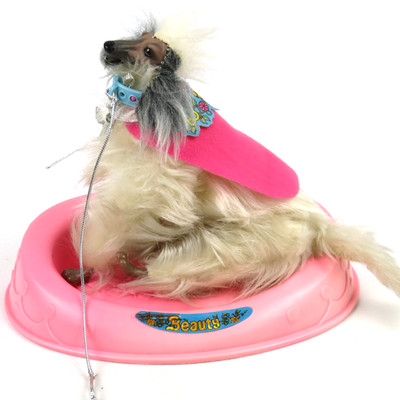Vintage Barbie Hund Dog Beauty Afghane Mattel 1979 + Access - Miss a leg