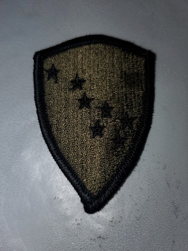 Subdued Alaska Army National Guard