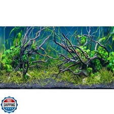 Aquarium Background Various Aquatic Plants Terrarium Background Nature Style