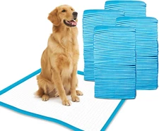 Super-Absorbent 24 by 24 Inches Dog Training Pads - 100 Count of Pads