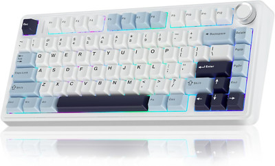 F75 75% Wireless Mechanical Keyboard,Gasket Hot Swappable Custom Keyboard,Pre-Lu
