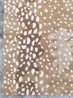 Antelope Area Rug Handmade Stark Like Design Tufted 100% Wool 3x5 5x8 ...