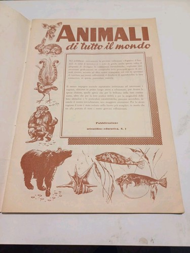 ALBUM Figurine di Animali di tutto il Mondo - F.Cavaliere Edit.Anni '50/'60 RARO - Picture 2 of 4