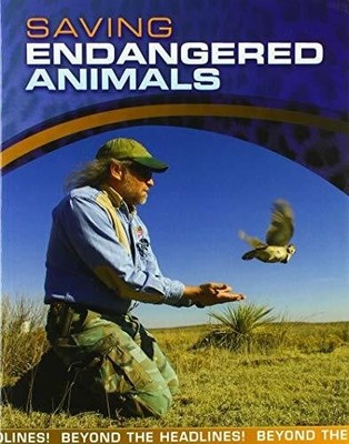Saving Endangered Animals (Beyond the Headlines!) Buch Raintree
