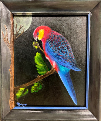 Midnight Bird oil painting on canvas board framed Maria Koch 12'' x 10'' 2025