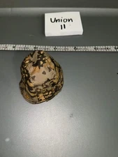 1:6 WWII German Camouflage helmet cover