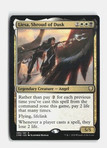 Liesa Shroud of Dusk | eBay