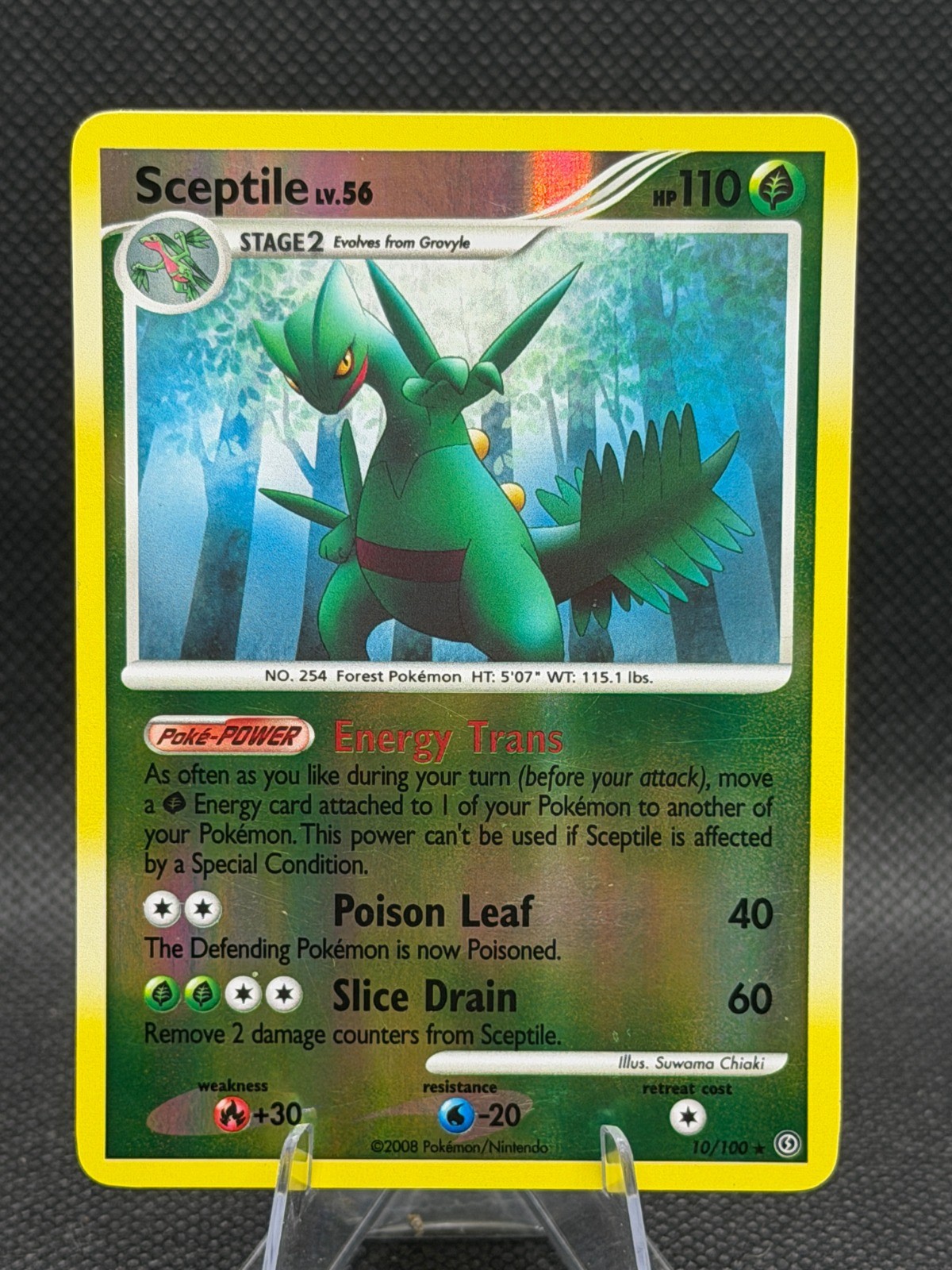 Sceptile Reverse Holo Holo Rare Stormfront 10/100 NM
